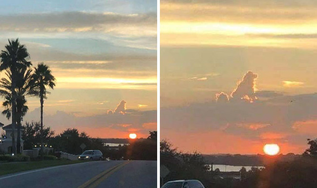 interesting-pareidolia-pics-62-668d23a3ee9ca__700