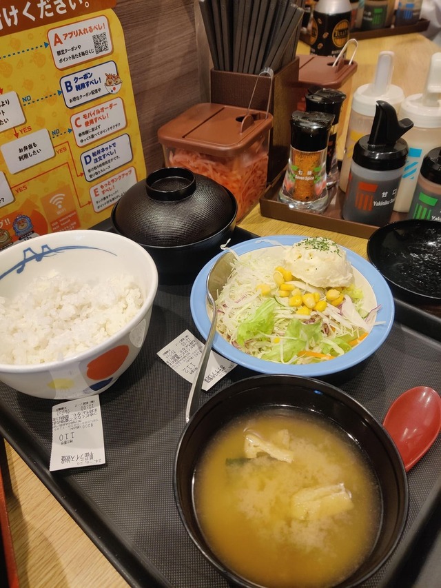 food-i-had-as-a-vegetarian-in-ja (1)