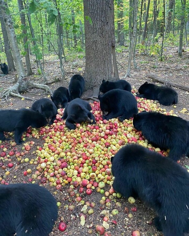 23-67287db3dedd6__700