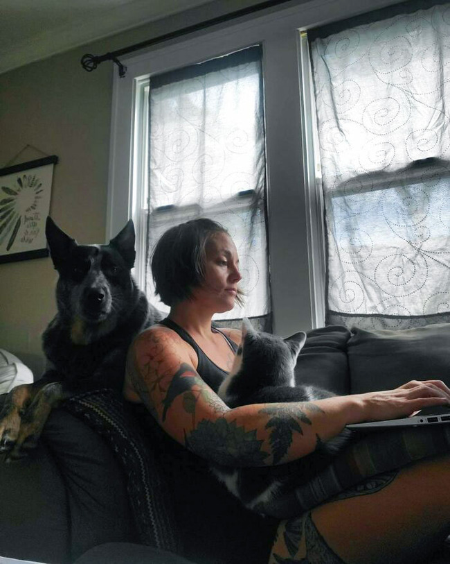 pets-violate-personal-space-200-6278ce2305295__700