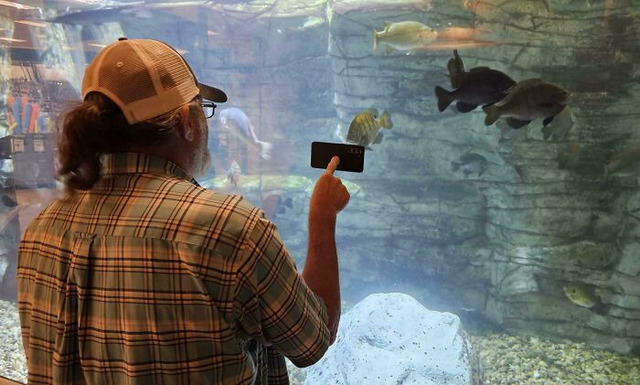 6925878342d1d_xii4slew3k0f1-jpeg