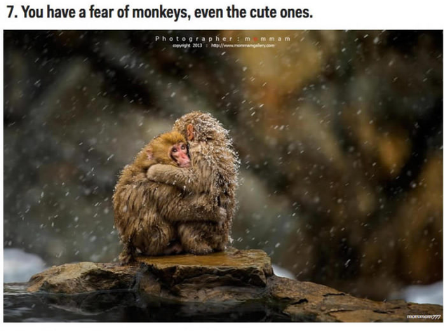 日本旅行をすべきではない理由