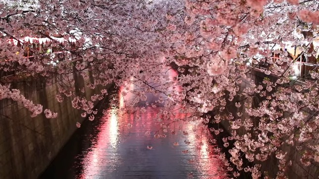 954a1ec6-c2f4-46b3-b930-3c74b807cb08