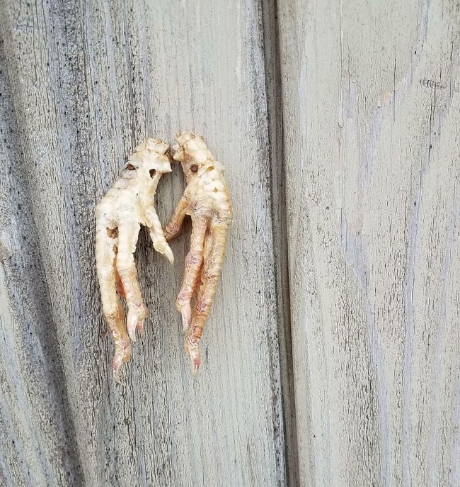 658e74753796b_scary-things-people-find-new-homes