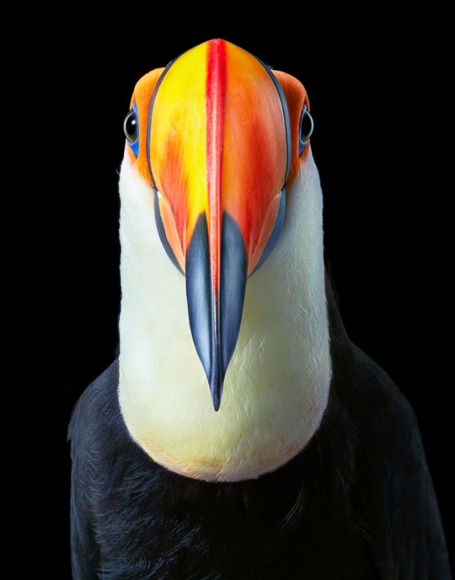 BgGbD4FgprC-png__700