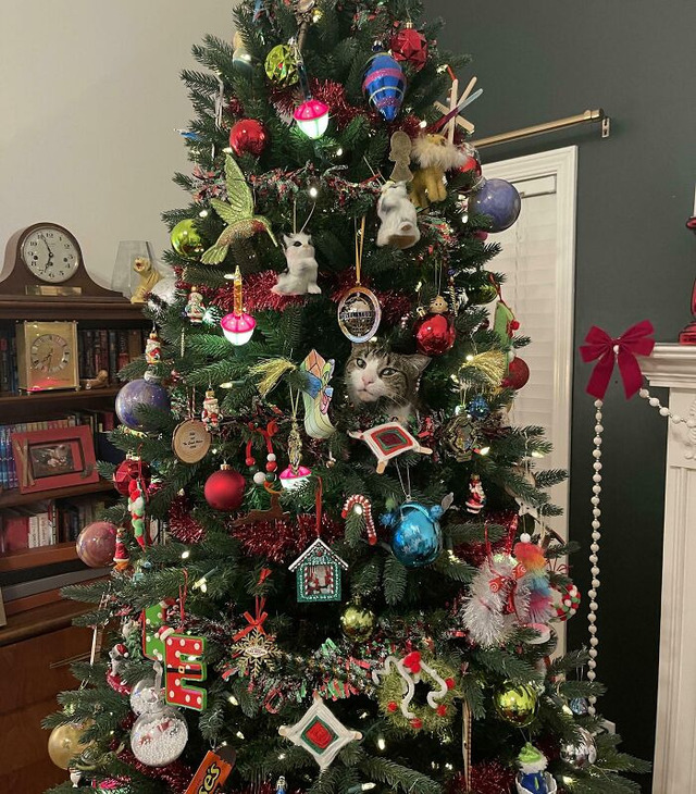 68fb28b28314b_hidden-camouflage