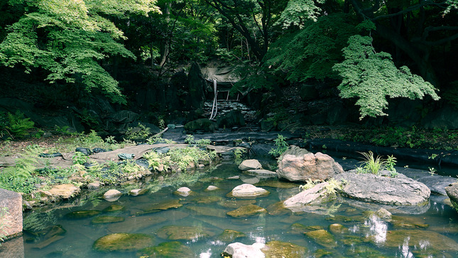 03 - Tokyo - Koishikawa Korakuen Gardens