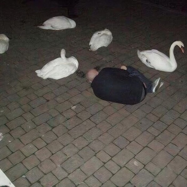 673b2f291234f_random-cursed-pics