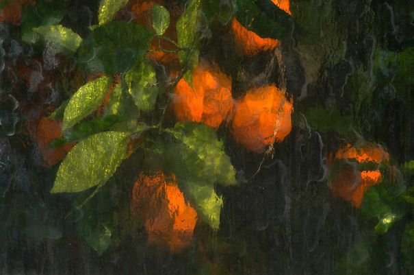 5982d46302f16_MiDB1ar__605