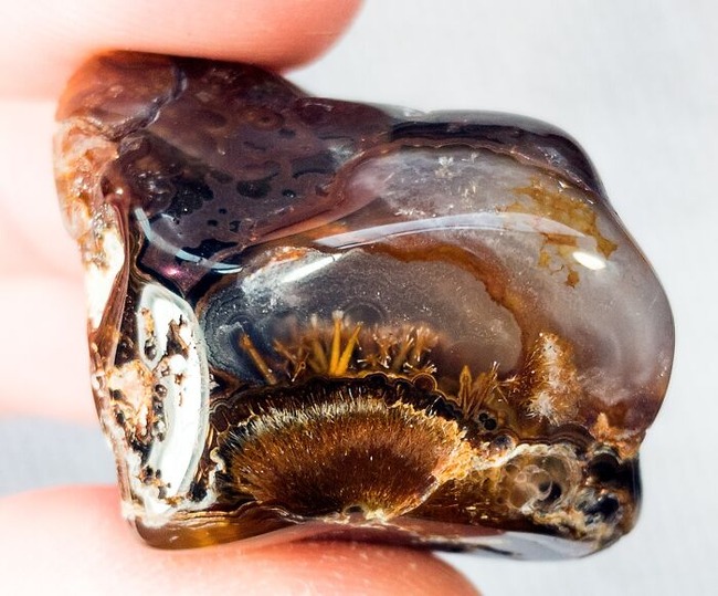 66e97fe03c00c_interesting-things-inside-things-pics