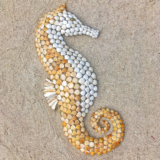 animals-from-seashells-art-anna-chan-60d319365c6ae__700