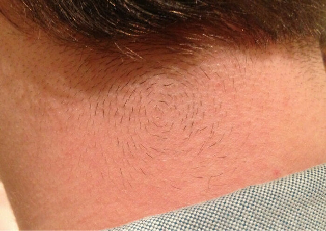 6894a4c7213ec_131aBVg__700