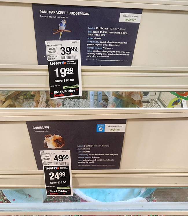 black-friday-fails-pics-16-673347ab3d149__700 (1)