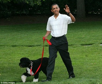 article-0-09f41f20000005dc-79_634x523