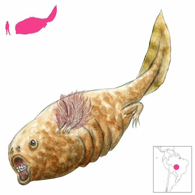 CToeOsDpgDm-png__700