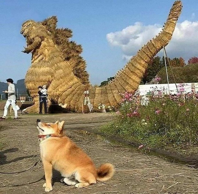 180105901_5679731625400943_8193880867925218114_n