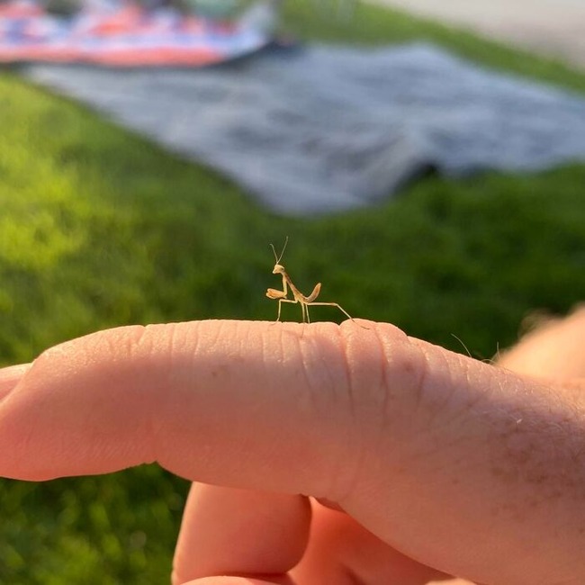 67e3b74d7657e_mind-blowing-photos