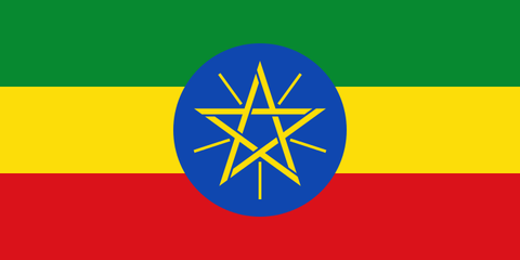 svg
