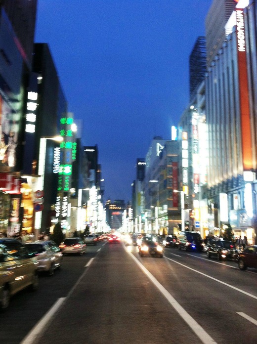 24 - Tokyo City of blinding lights Ginza area