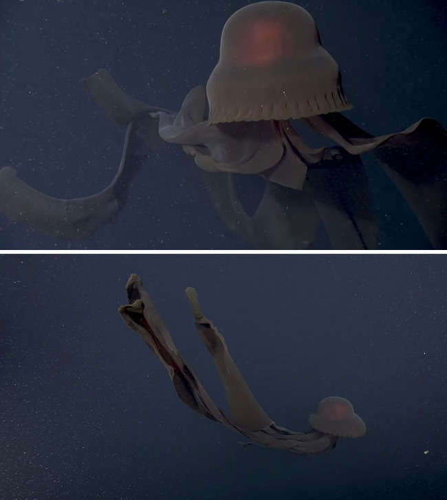 scary-ocean-photos-18-6564745b5008a__700