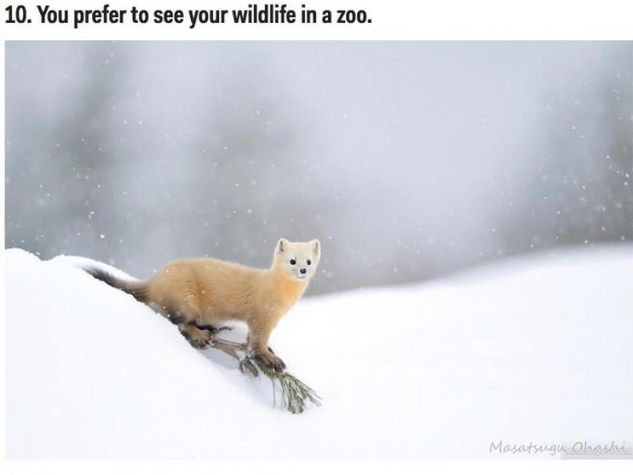 日本旅行をすべきではない理由