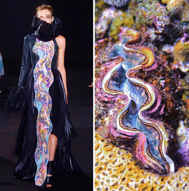 parallels-between-fashion-and-nature