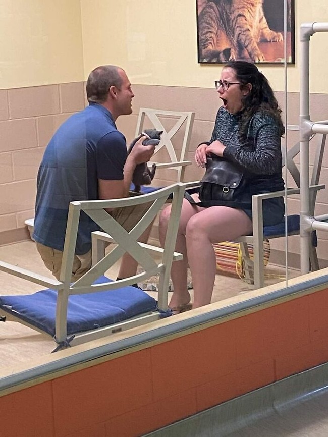 animals-random-places-pics-66f660df61def__700