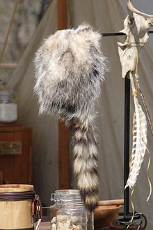 220px-Coonskin_cap