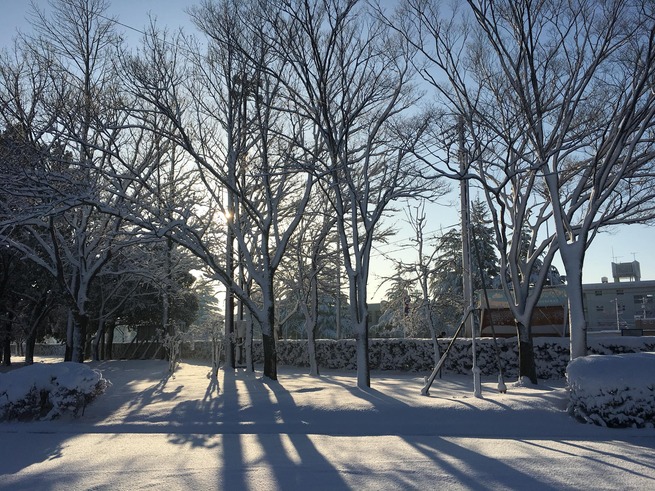 27024143_10157412470809466_9030296328325222756_o