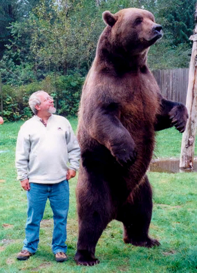 large-animals-29-66e12e9451167__700