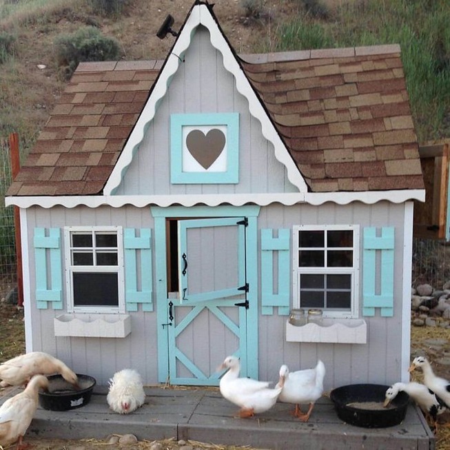 creative-chicken-coops-designs-23-5f0d91094fe31__700 (1)