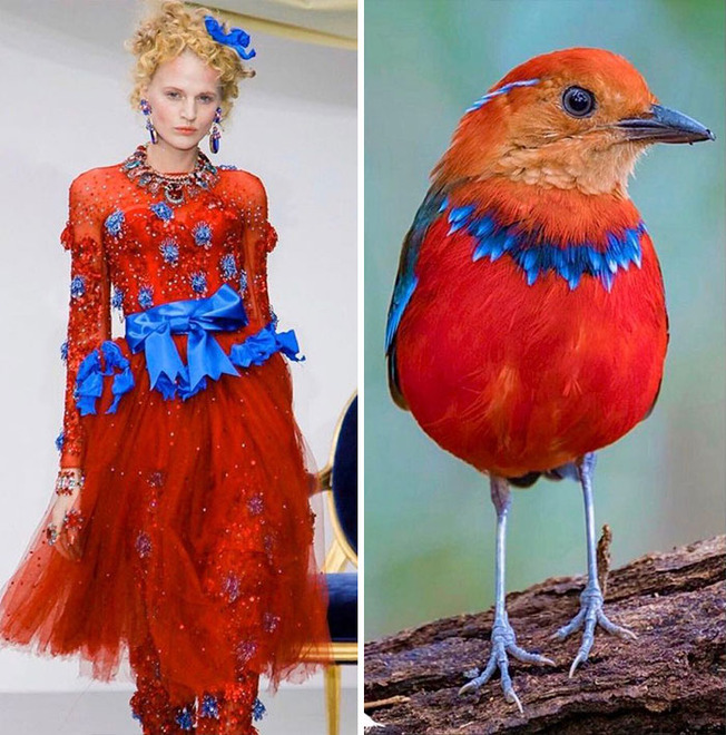 parallels-between-fashion-and-nature