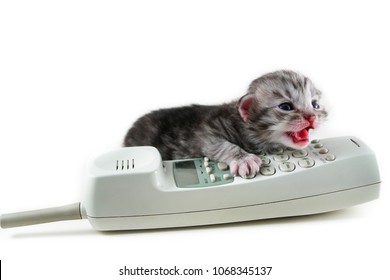 1728284954808669