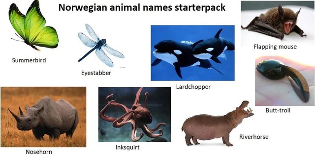 0rmal