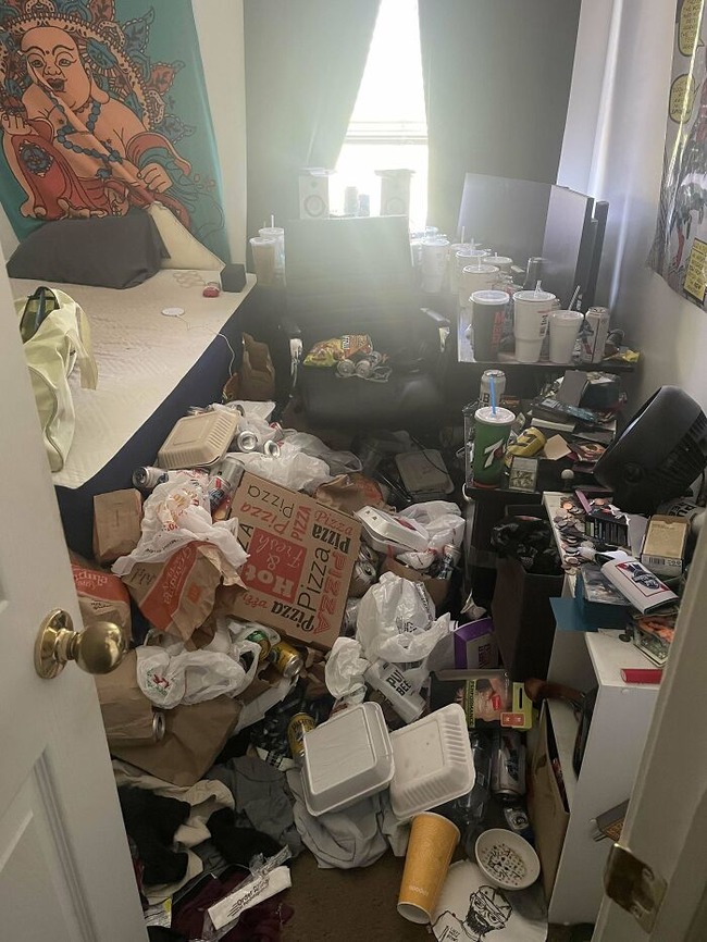 67629be3a3e40_2azl1p403yed1__700