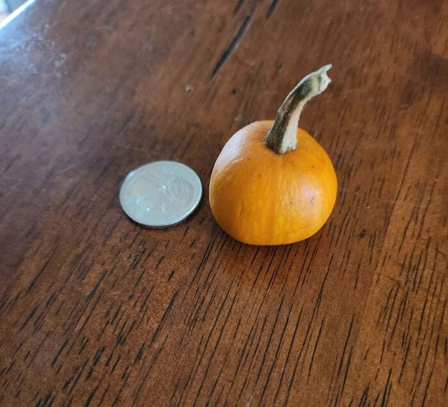 68946bc69773c_funny-harvesting-pictures__700