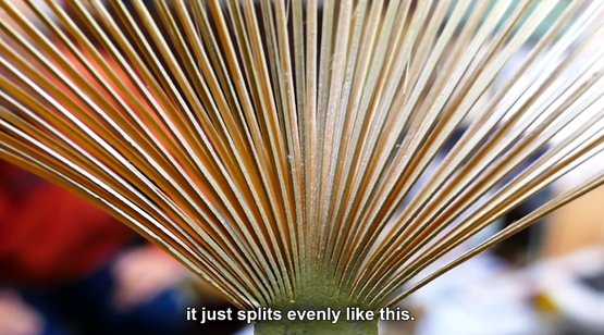 岐阜うちわ 伝統芸能 海外の反応