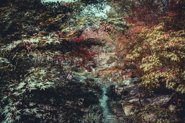 steveroe__-14-5bf48149bb4f9__880