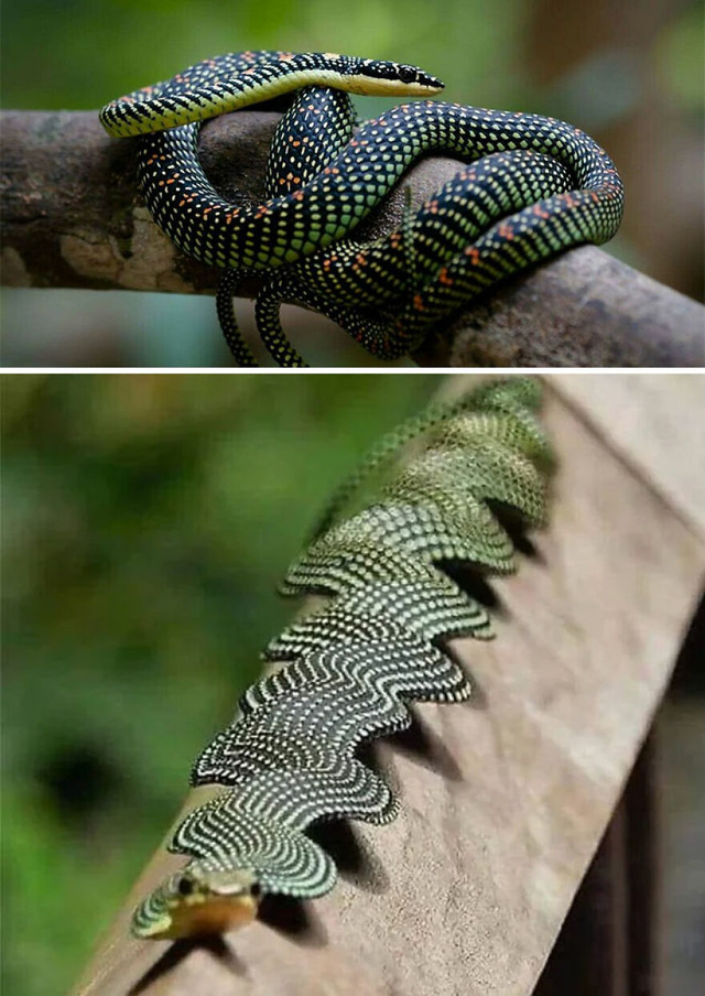 3-68d13bab52c6b__880