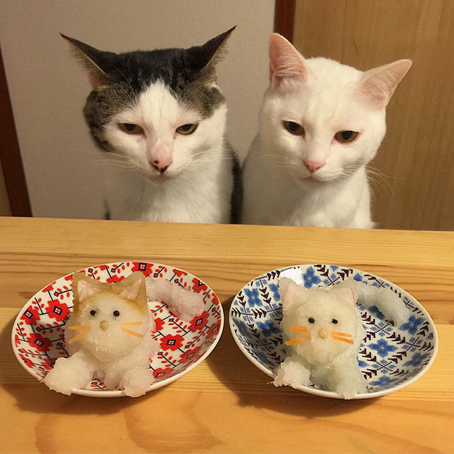 DhyKgaJ