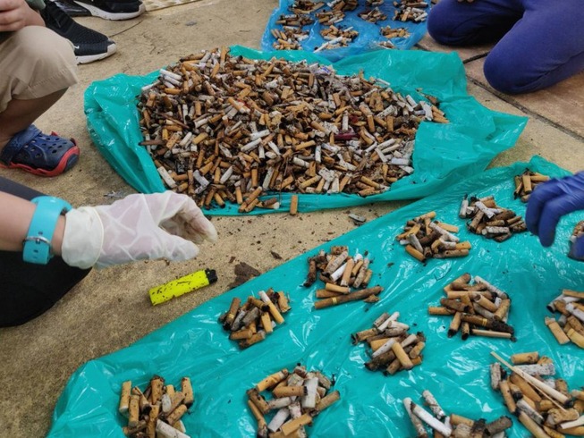 cigarette_butt_putrajaya_2905