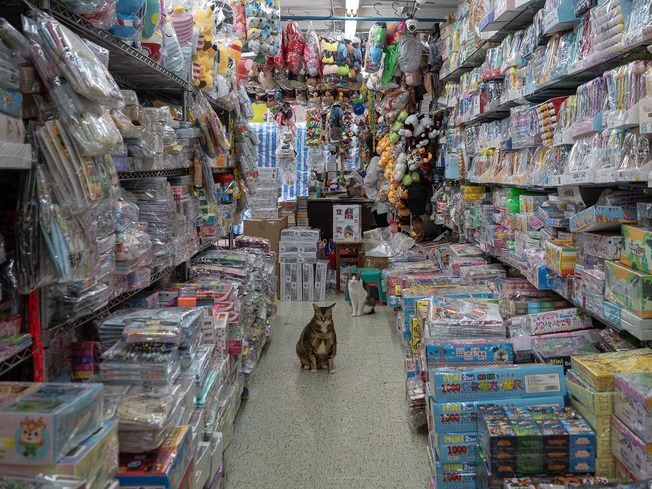 241254426_10161817360721840_2699045715160348442_n