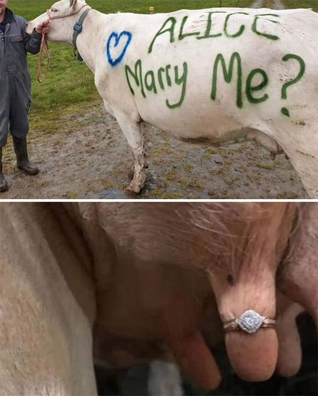 thats-it-im-proposal-shaming-1-643e45417878a__700