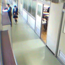 d003f137-3154-4569-b3ae-af7bb5b042d2