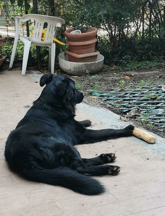 63725a1431a85_nwke3b04fur91__700