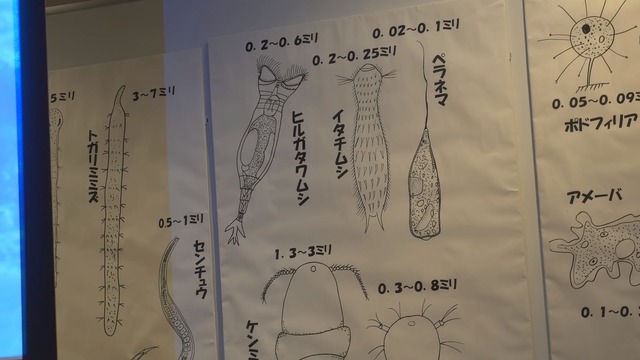 996967f1-89c1-4c34-823a-9ac5da857382