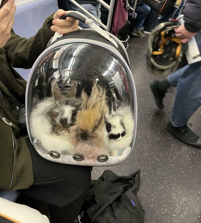 678f6f22aec48_funny-train-subway-passengers