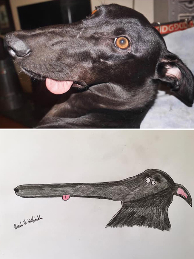 001-5f91564c264b1__700