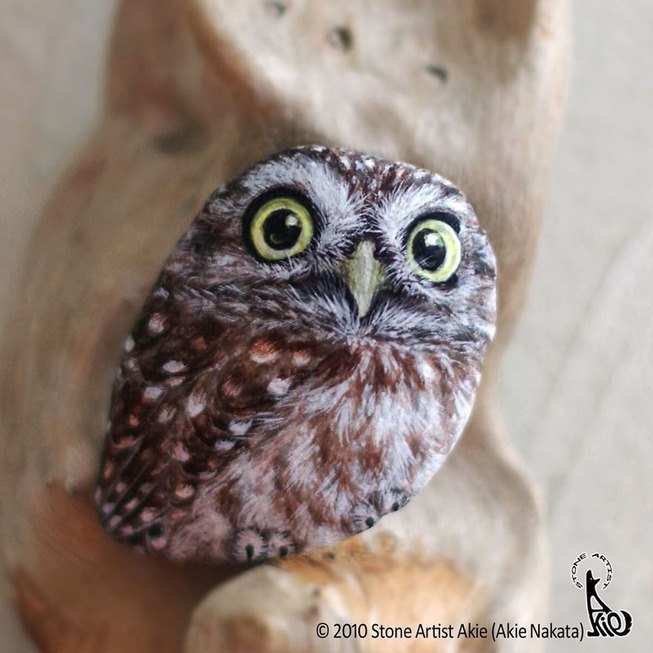 This-Japanese-artist-turns-stones-into-art