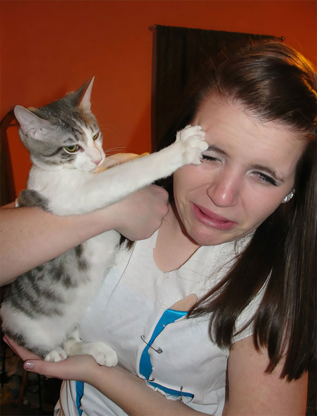 cats-say-no-cuddles-601-603e52b44ebfc__700